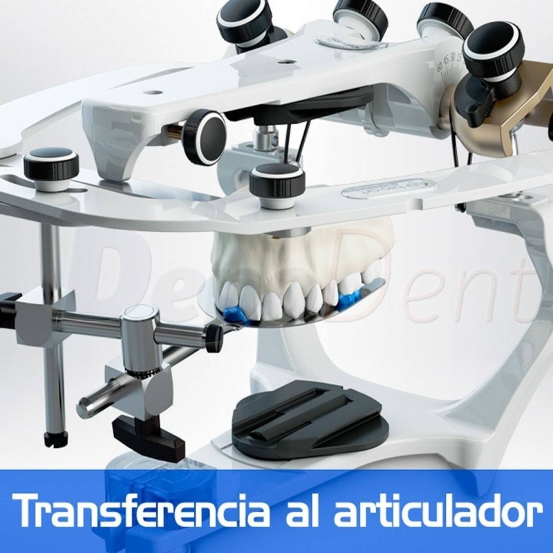 Articulador Bio Art S Semiajustable Con Arco Facial Est Ndar