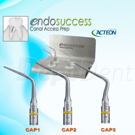 Kit insertos Newtron EndoSuccess CAP