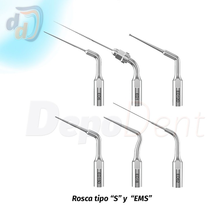Endo Kit Woodpecker Talal