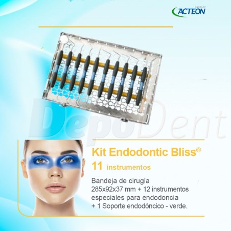 Kit instrumentos manuales Endodontic Bliss Acteon