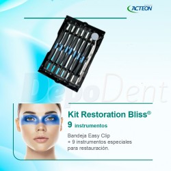 Kit instrumentos manuales Restoration Bliss Acteon