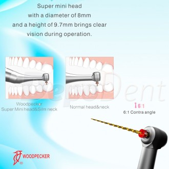 Motor endodoncia + CA