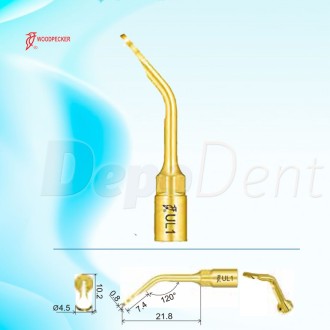 Puntas Cirugía UL1 Woodpecker para elevación membrana sinusal