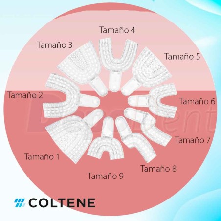 Cubeta Impresiones President Superior Grande N1 12U. de COLTENE