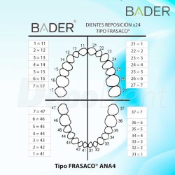 Dientes de reposición tipo ANA4