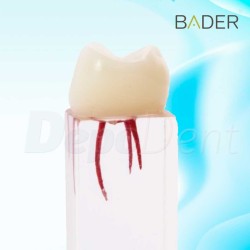 Cajas porta prótesis dental con cepillo y espejo marca Bader