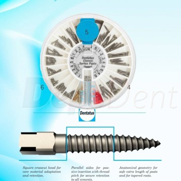 Tornillos Dorados Dentatus Classic Surtex Surtido