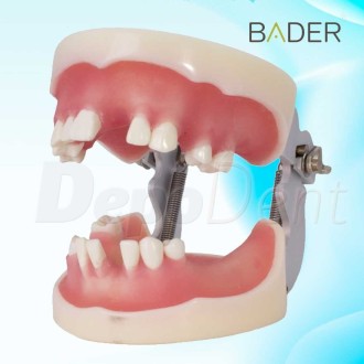 Tipodonto para implantología con articulador abierto