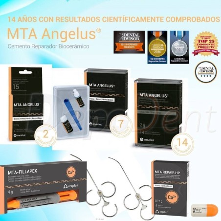 cemento obturación canal MTA Angelus