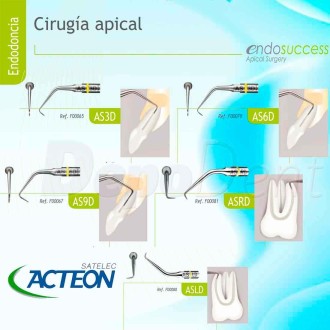 Insertos ENDOSUCCESS Apical - cirugía apical