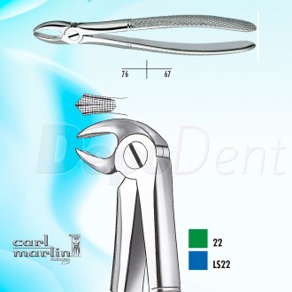 Forceps de extracción Carl Martin MOLARES inferiores