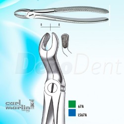 Forceps de extracción Carl Martin CORDALES superiores