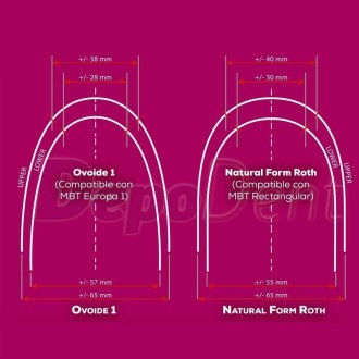 arcosNiTi rectangular forma natural y ovoide