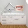 Mobiliario dental modelo Basic New 3