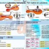 Catálogo útiles de laboratorio Mestra