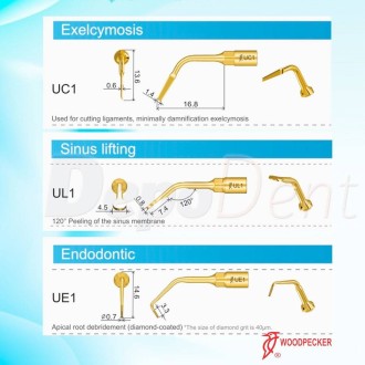 puntas ultrasurgery Woodpecker