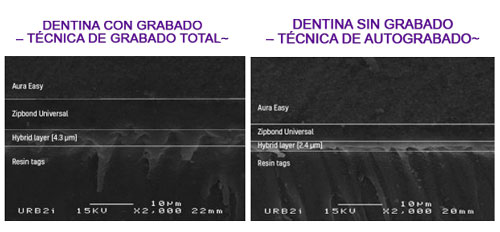 ZipBond hibridación efectiva